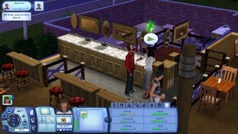 Sims 3